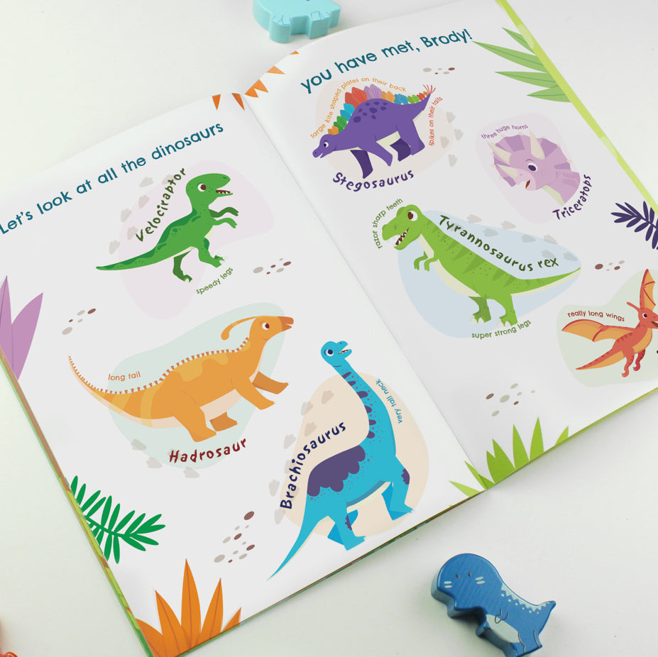 Personalised Dinosaur Adventure Story Book
