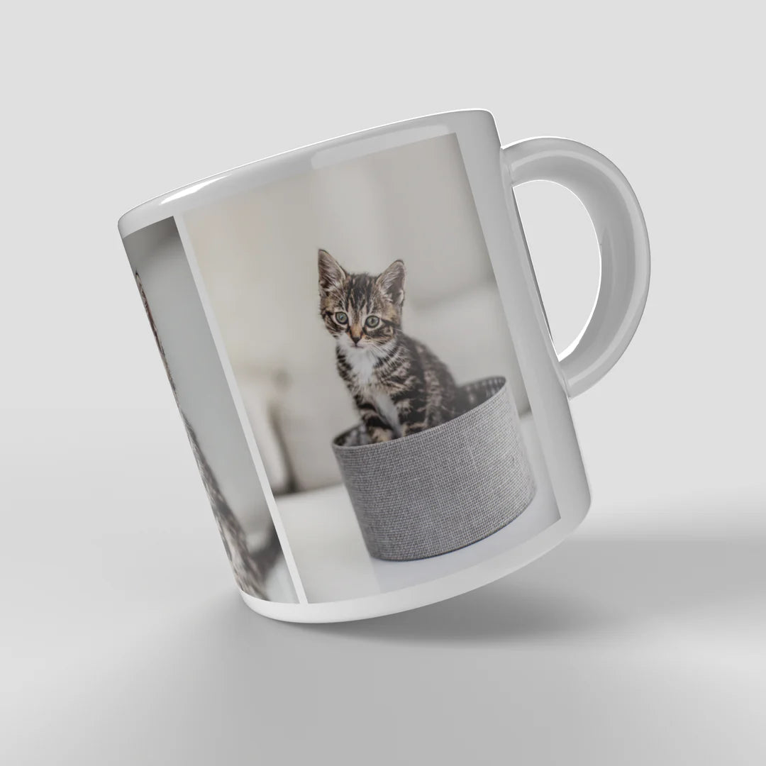 Photo Mug with 3 photos