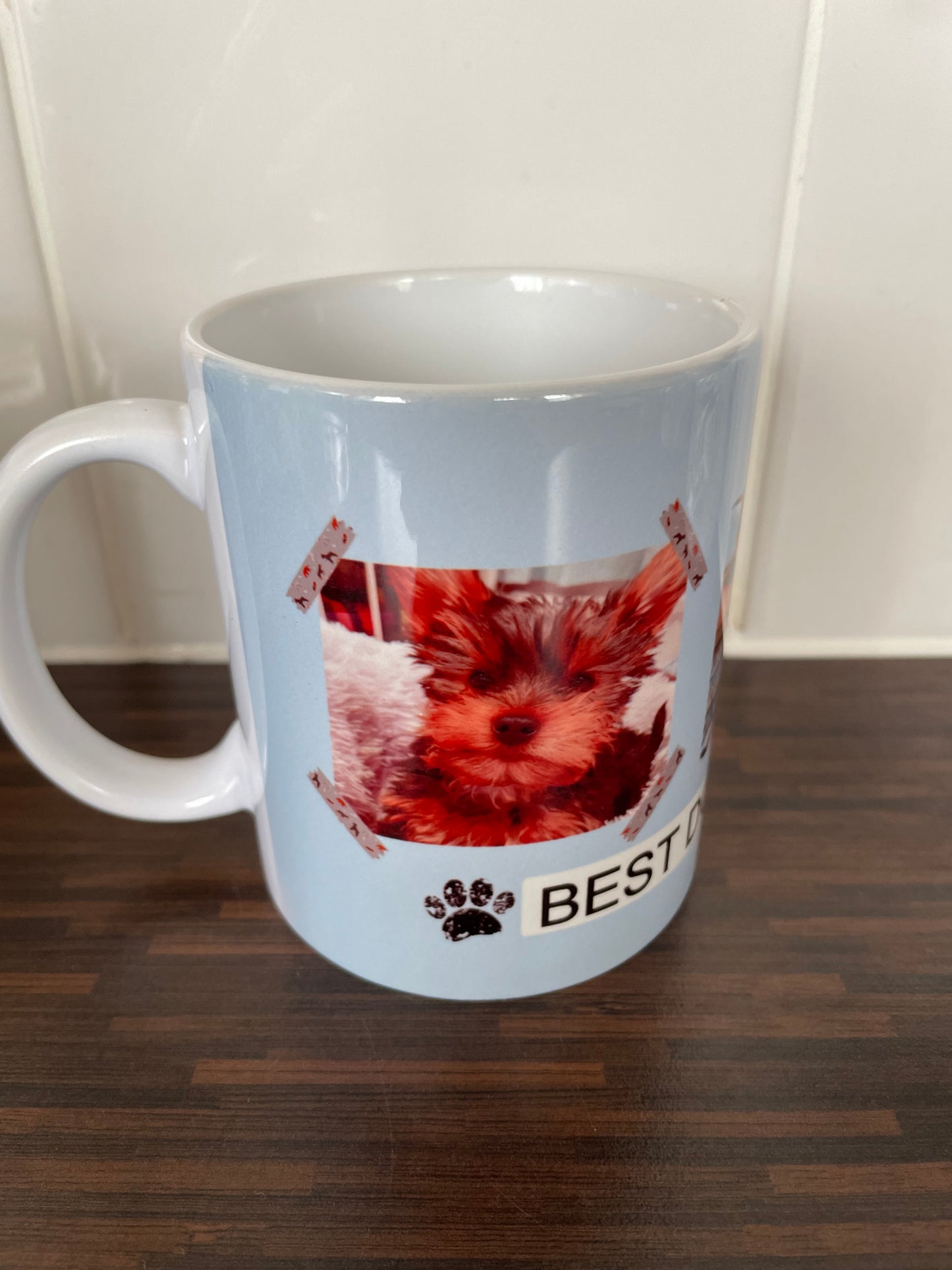 Best Dog Dad Ever Mug