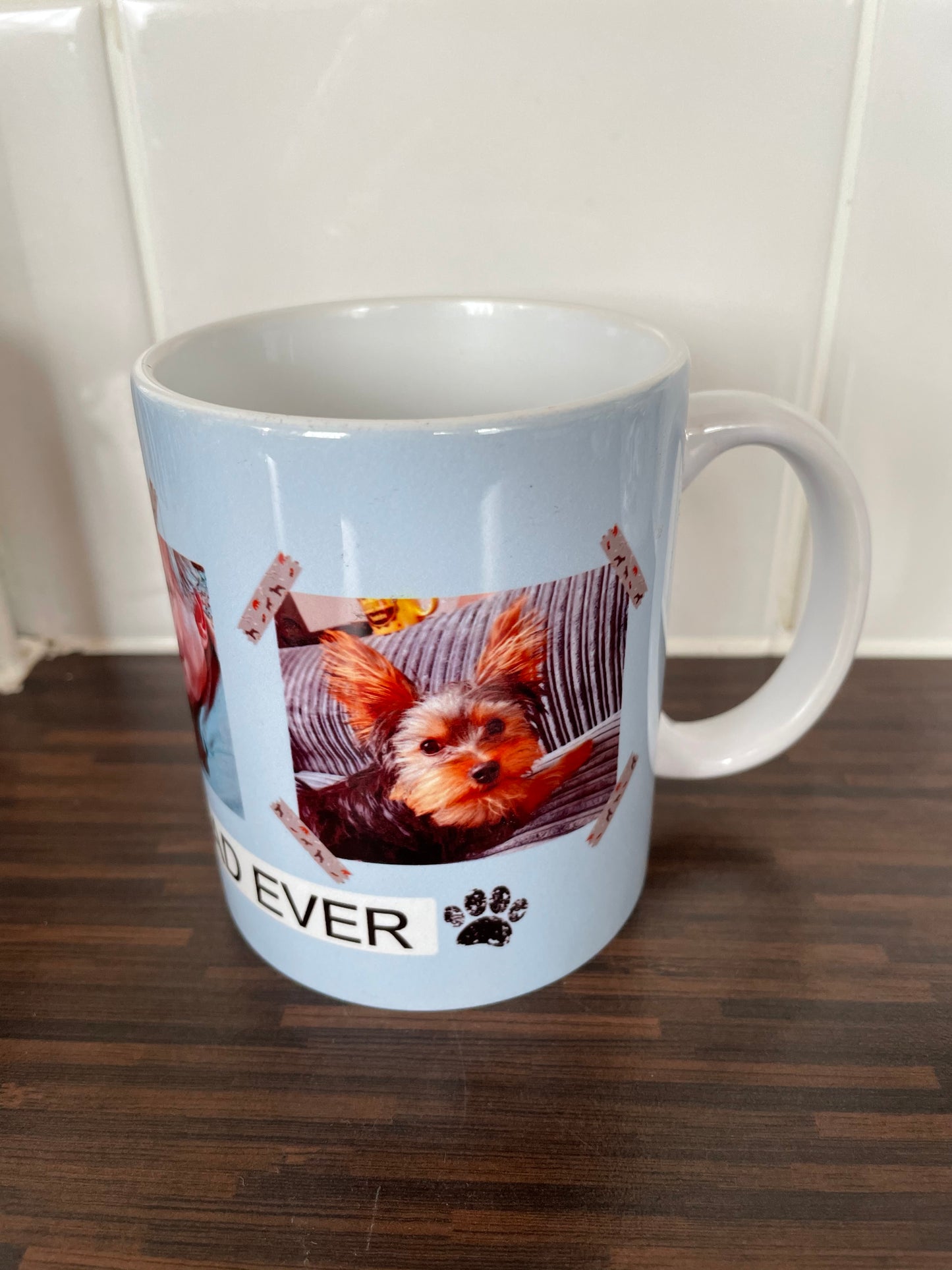 Best Dog Dad Ever Mug